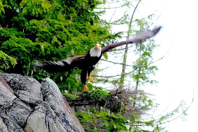 Ketchikan Electric Bike and Rain Forest Hike Ecotour - Recap