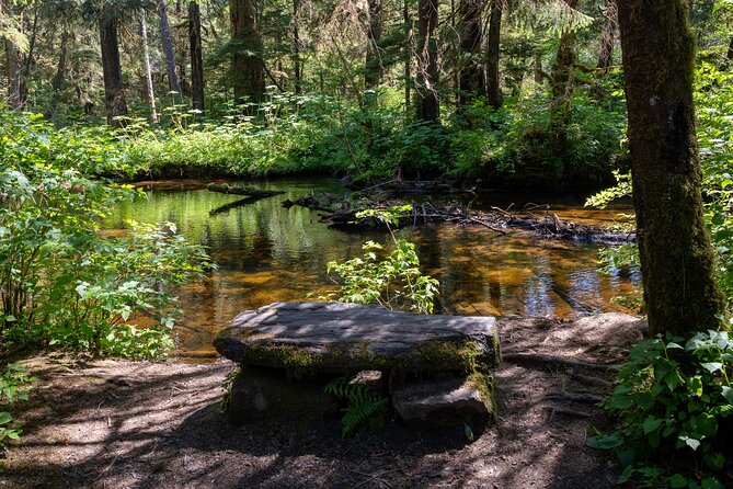 Ketchikan Magical Old-Growth Creek Trek Guided Tour - Transportation and Accessibility Details