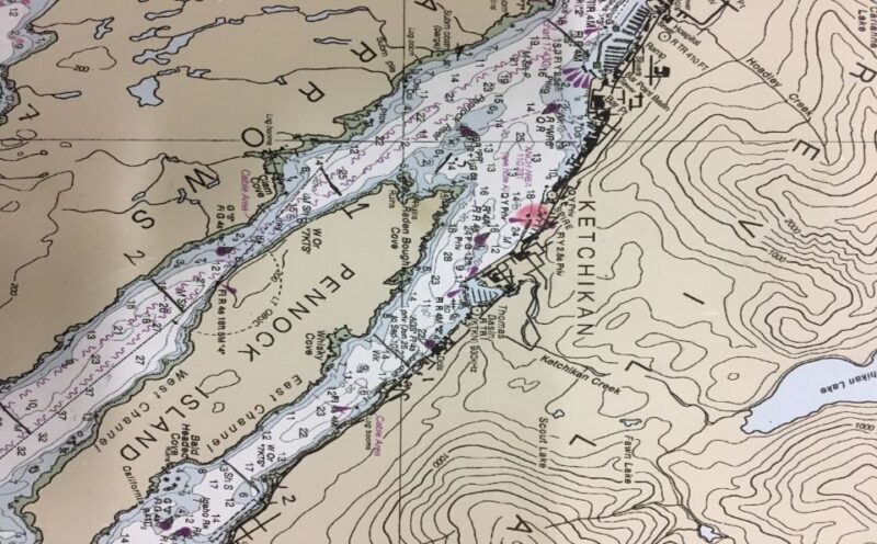 Ketchikan: Marine Wildlife and Whale Watching Boat Tour - Wildlife and Scenery: What You Might See