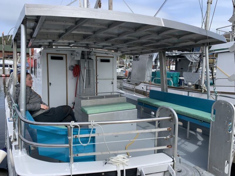 Ketchikan: Marine Wildlife and Whale Watching Boat Tour - Who Would Enjoy This Tour?