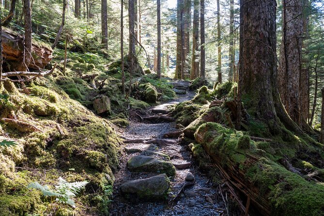 Ketchikan Mountain Lake Trek to Avalanche Chute - Traveler Reviews and Ratings