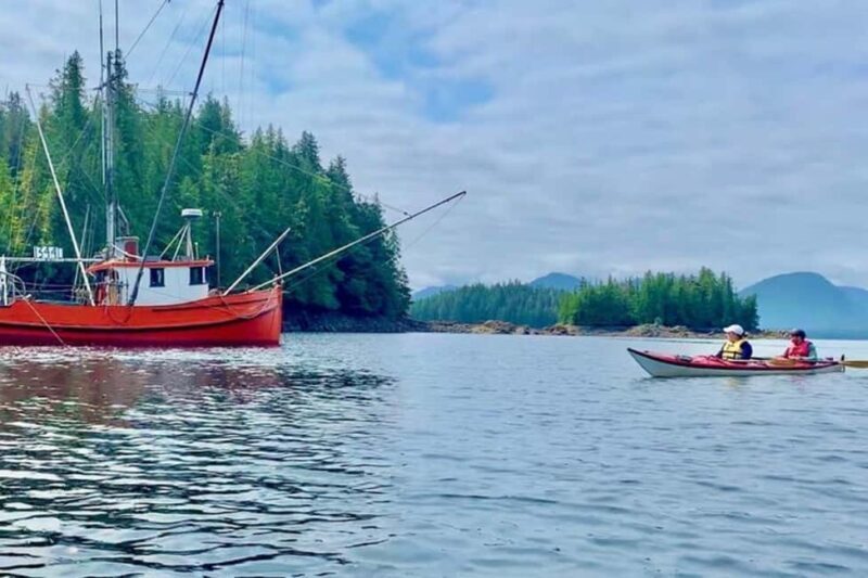 Ketchikan: Orca Cove Fast Boat and Sea Kayak Tour - An Authentic Connection to Ketchikan’s Wilderness