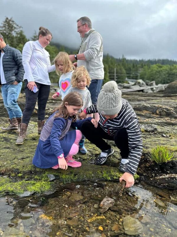 Ketchikan: Private Tours suitable for all ages! - Waterfalls and Rainforests: Natural Beauty Close-Up