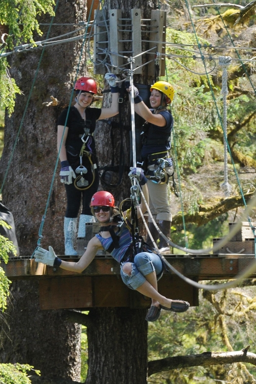 Ketchikan: Rainforest Zipline, Skybridge, & Rappel Adventure - Key Points