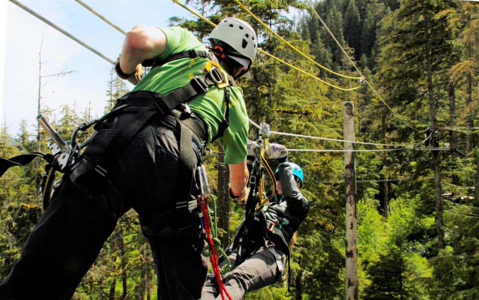 Ketchikan: Rainforest Zipline, Skybridge, & Rappel Adventure - Packing and Accessibility Considerations