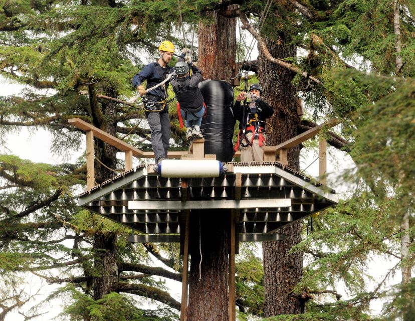 Ketchikan: Rainforest Zipline, Skybridge, & Rappel Adventure - Frequently Asked Questions