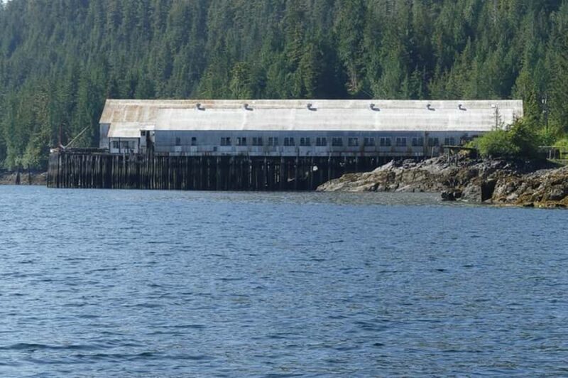 Ketchikan: Scenic Drive & George Inlet Fjords Zodiac Cruise - What Reviewers Say