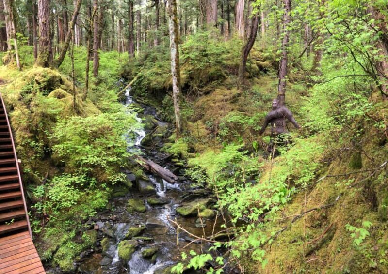 Ketchikan: Tongass Forest Alaska Bigfoot ATV Ride and Hike - Who Should Consider This Tour?