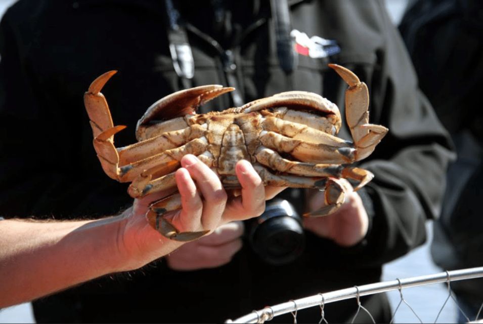 Ketchikan: Wilderness Boat Cruise and Crab Feast Lunch - Crab Pot Pulling and Local Activities