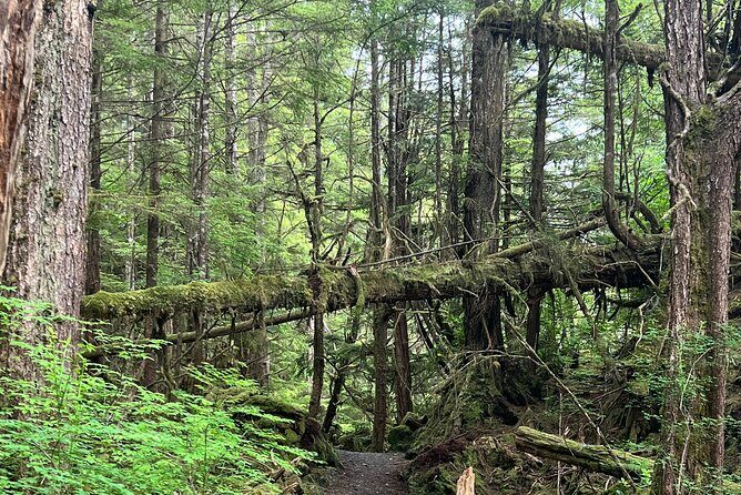 Ketchikan's Favorite Cultural and Historical Sites - Who Will Love This Tour?