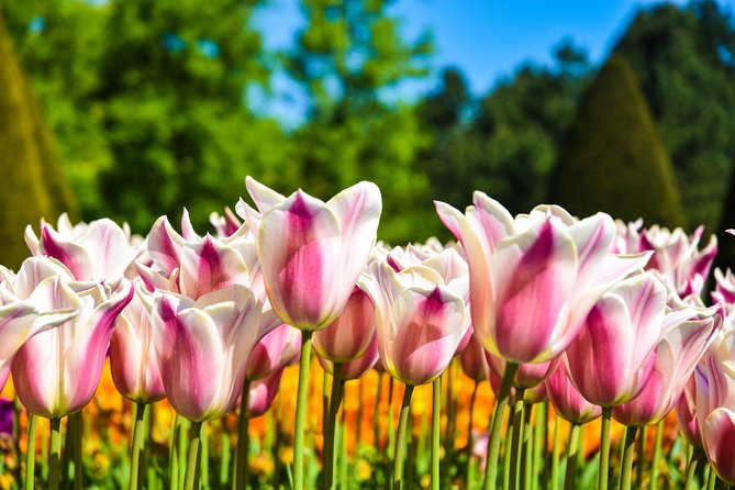 Keukenhof and Zaanse Schans Windmills Day Trip From Amsterdam - Frequently Asked Questions