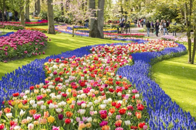 Keukenhof: Flower Fields Small-Group Cultural Bike Tour - Booking and Cancellation Policy