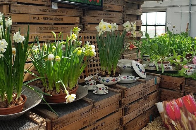 Keukenhof & Flowerfarm Tour From Amsterdam Skip-The-Line Tickets - Customized and Personalized Experience