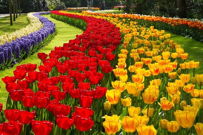 Keukenhof Private Floral Tour from Amsterdam - Key Points