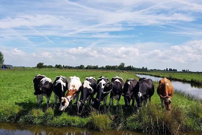 Keukenhof Skip-the-line Tickets: Countryside & Farm Private Tour - FAQ  