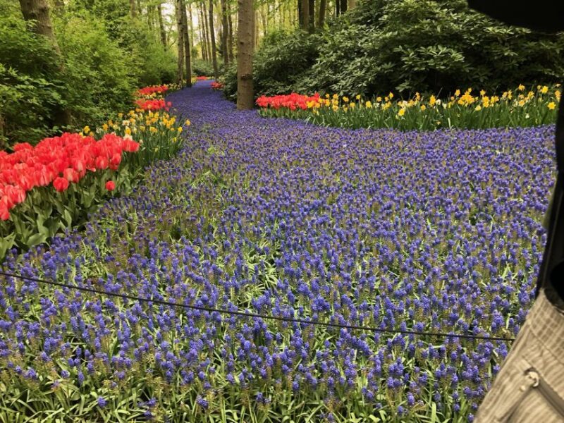 Keukenhof, Tulip Farm, Flower Fields & Delft Blue - Tour Itinerary Highlights