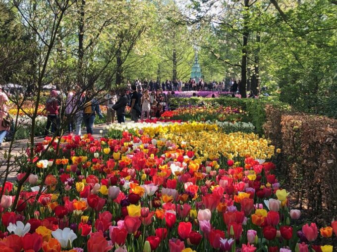 Keukenhof, Tulip Farm, Flower Fields & Delft Blue - Transportation Options