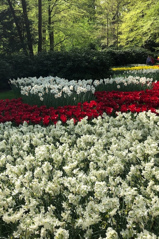 Keukenhof, Tulip Farm, Flower Fields & Windmills - Who Is This Tour Best For?