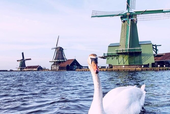 Keukenhof, Tulip Farm, Flower Fields & Zaanse Schans Windmills - Tour Inclusions and Accessibility