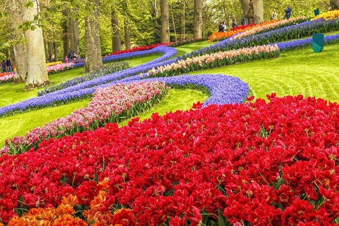 Keukenhof Tulip Garden Tour - Keukenhof Tulip Garden Tour: An In-Depth Look