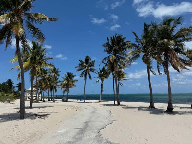 Key Biscayne: Self-Guided E-bike Tour - Comfort and Convenience: What It Means for You