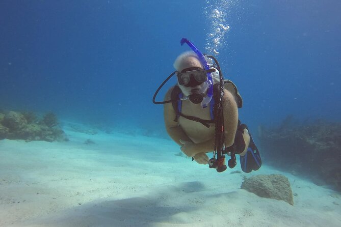 Key Largo 2-Tank Scuba Dive Trip Within Pennekamp Reserve - Pricing and Availability
