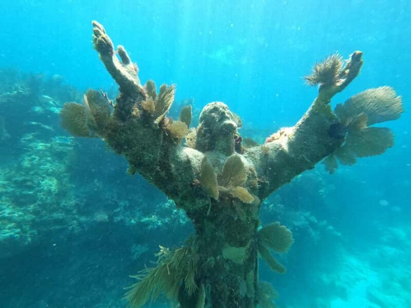 Key Largo: 2-Tank Shallow Reef Dive with Guide & Photos - What to Expect from Your Underwater Adventure