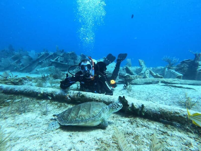 Key Largo: 2-Tank Shallow Reef Dive with Guide & Photos - The Experience in Detail
