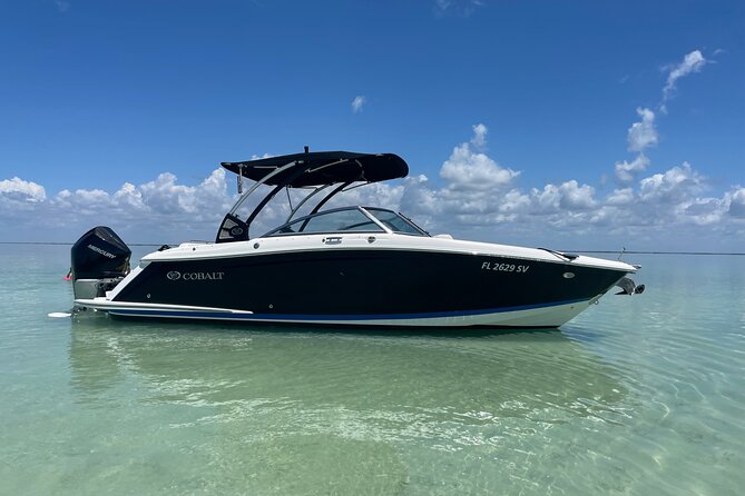 Key Largo Bay Sunset Tour - Wildlife Sightings During the Tour