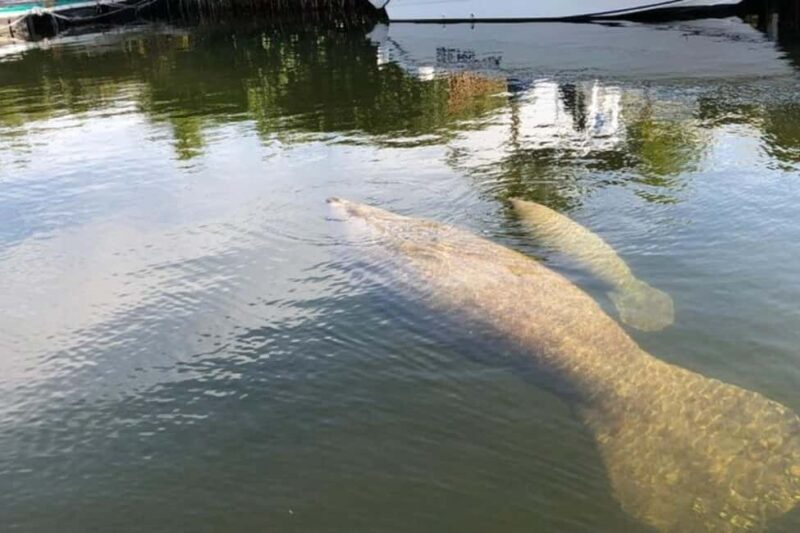 Key Largo: Sunset Cruise - Introduction