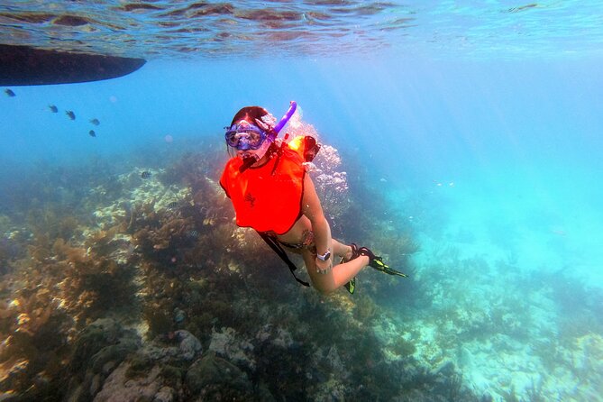 Key Largo Two Reef Snorkel Tour - All Snorkel Equipment Included! - Pricing Details