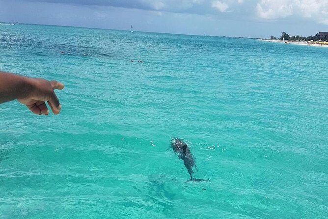 Key to the Sea Parasailing- Private Charter - Authentic Perspectives from Travelers  