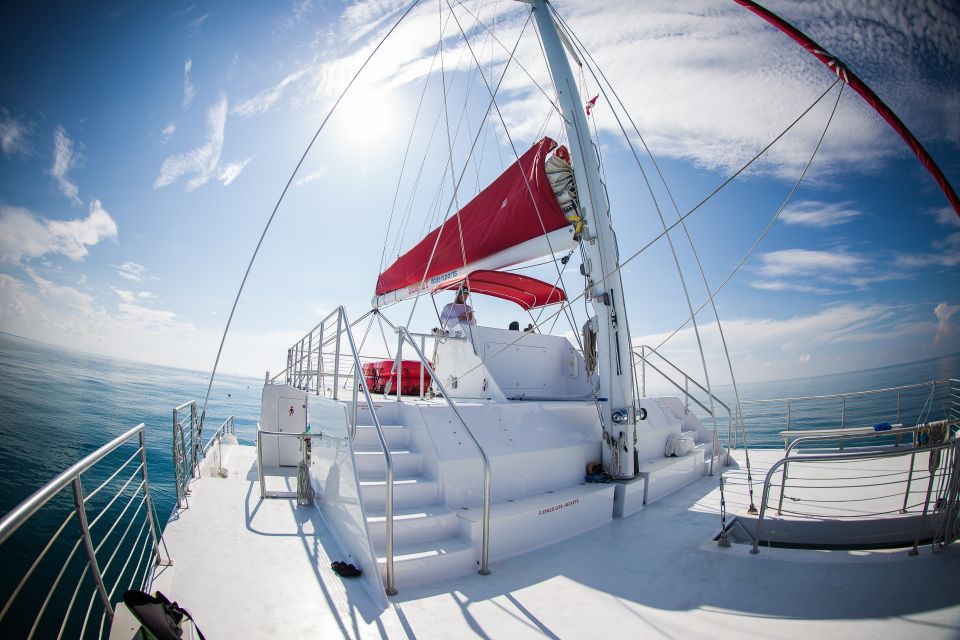 Key West: 3-Hour Afternoon Reef Snorkel With Drinks - Snorkeling Experience