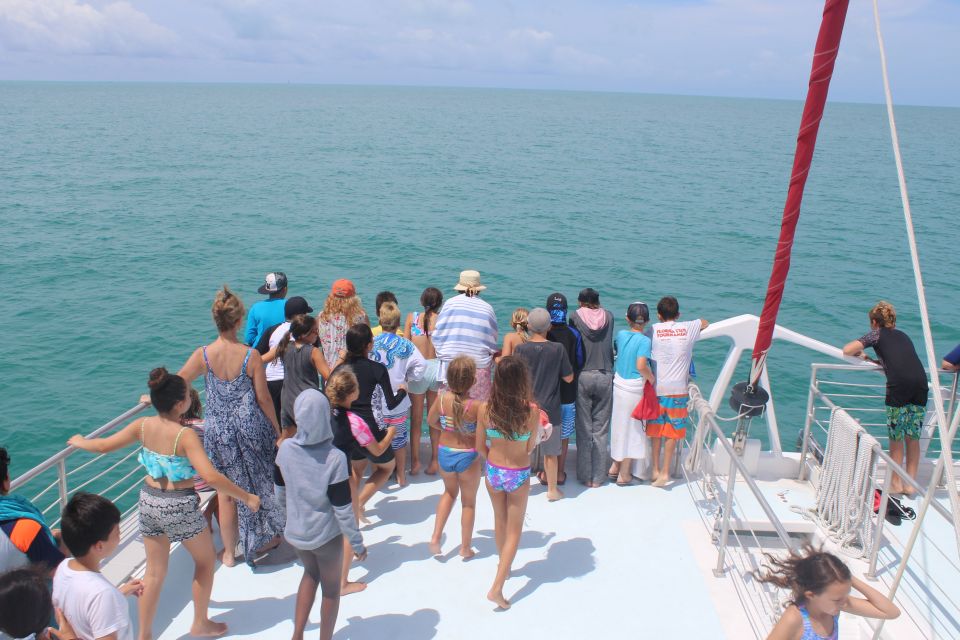 Key West: 3-Hour Afternoon Reef Snorkel With Drinks - Marvel at Ocean Life
