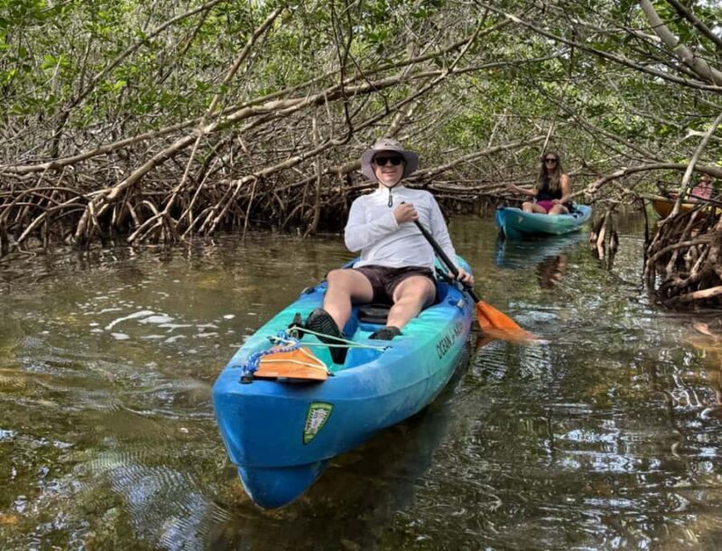 Key West: 3-hour Mangrove Kayak Tour - The Experience in Detail
