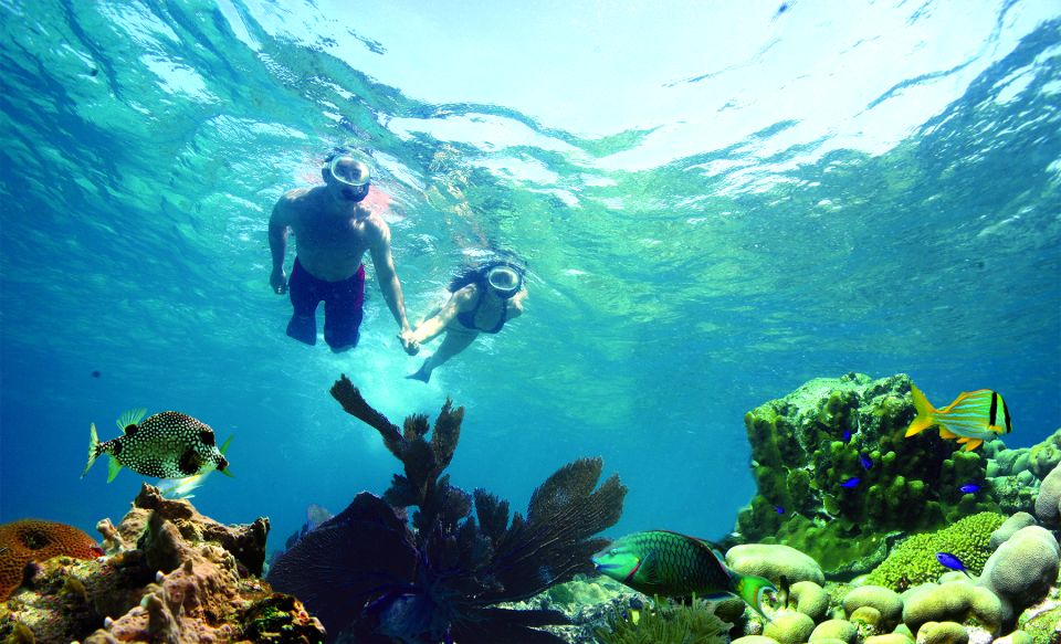 Key West: 3-Hour Snorkeling Adventure - What to Bring