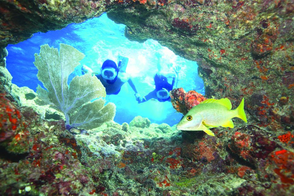 Key West: 3-Hour Snorkeling Adventure - Frequently Asked Questions