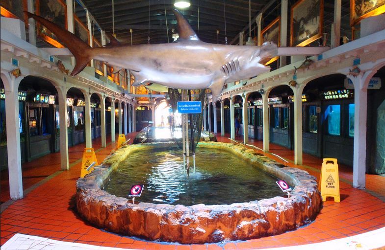 Key West Aquarium Tickets - Navigating to the Aquarium