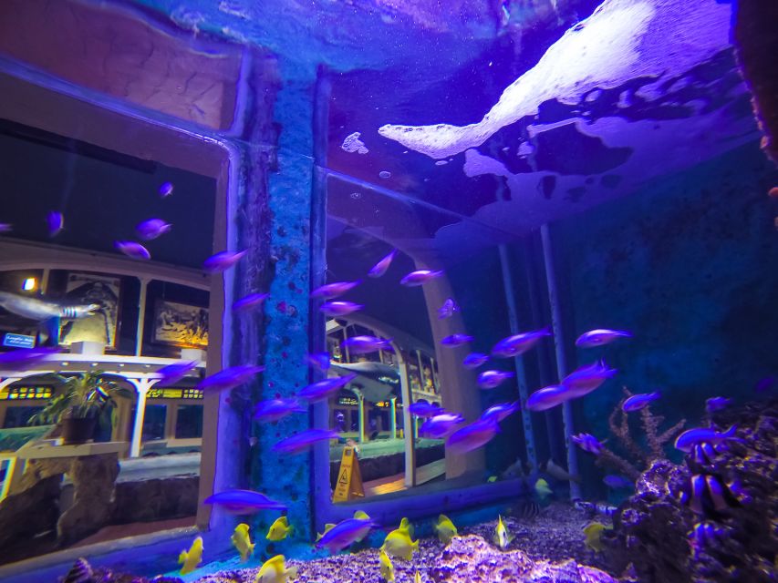 Key West Aquarium Tickets - Frequently Asked Questions