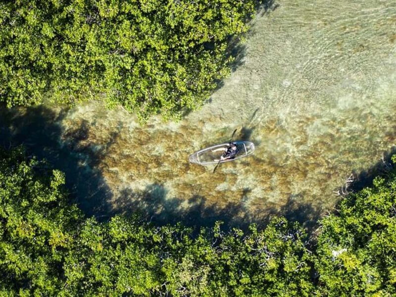 Key West Area: Guided Clear Kayak Eco-Tour - Exploring the Florida Keys from a New Perspective: The Guided Clear Kayak Eco-Tour