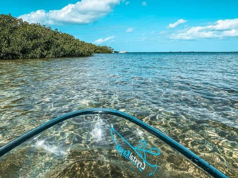 Key West Area: Guided Clear Kayak Eco-Tour - Key Points