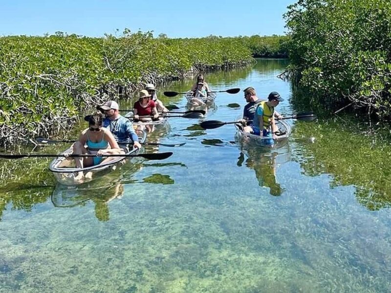 Key West Area: Guided Clear Kayak Eco-Tour - Who Should Consider This Tour?