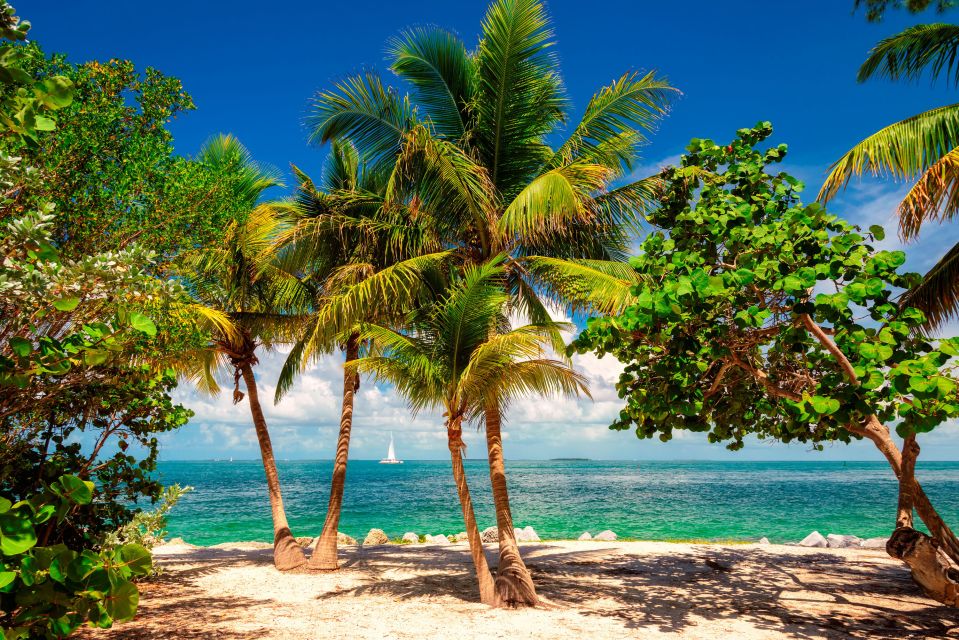 Key West: Day Trip From Fort Lauderdale W/ Activity Options - Visiting the Hemingway House