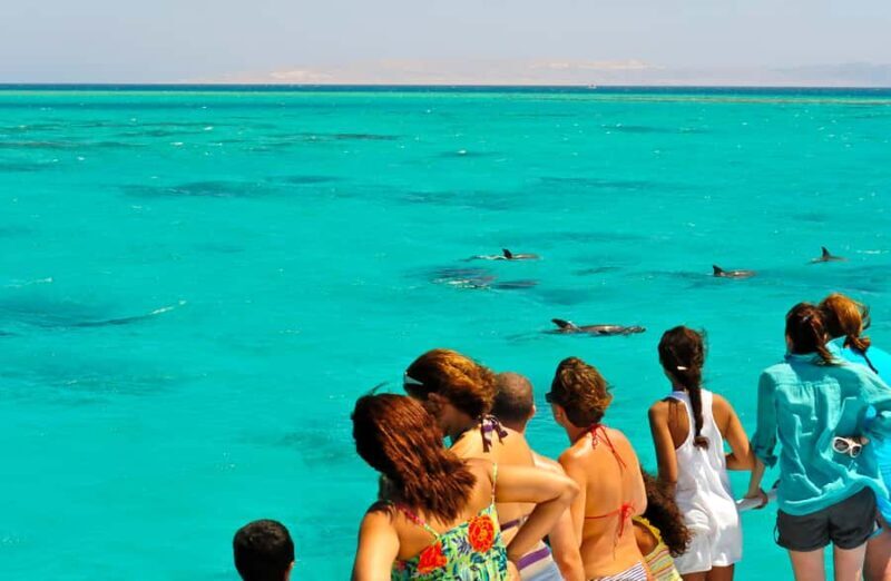 Key West: Dolphin & Reef Snorkel Trip with Sunset Option - An Honest Look at the Experience
