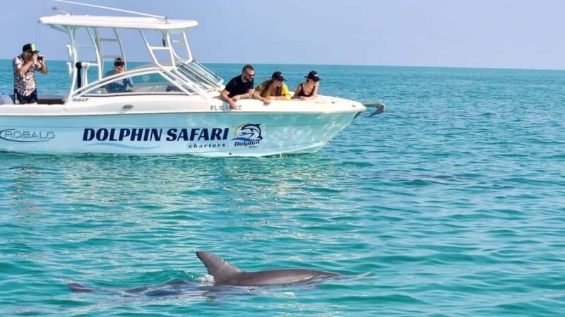 Key West Dolphin & Snorkel Tour - Small Group - Key Points