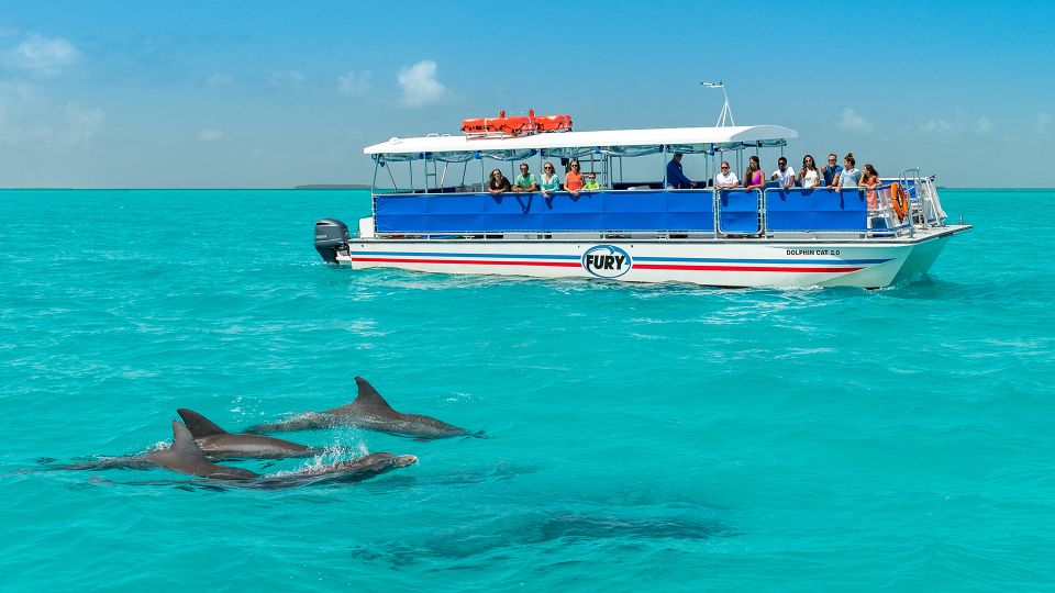 Key West: Dolphin Watching and Snorkeling Eco Cruise Tour - Dolphin Watching Cruise