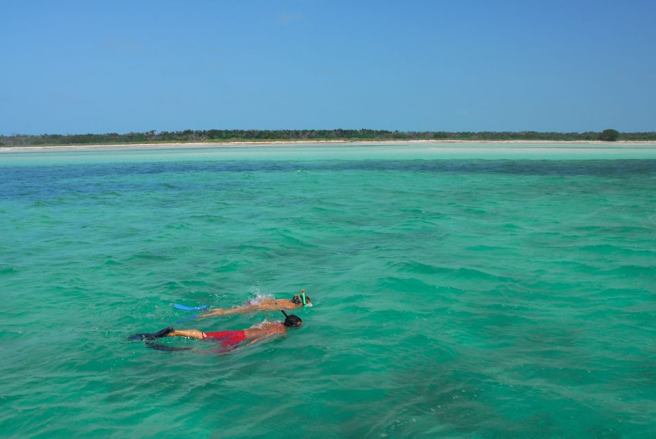 Key West: Dolphin Watching and Snorkeling Eco Cruise Tour - Tour Pricing and Booking