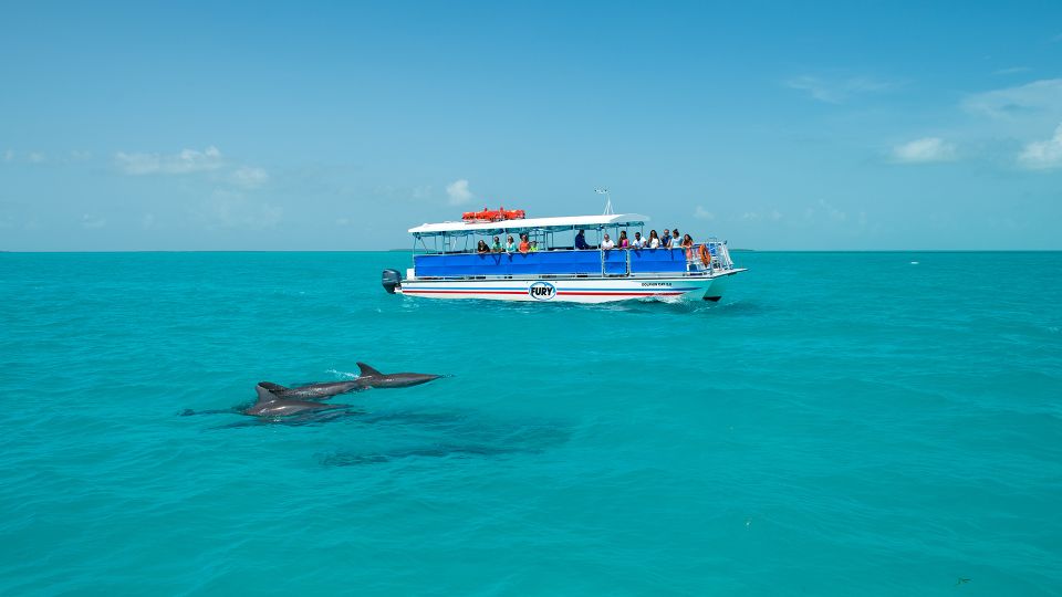 Key West: Dolphin Watching and Snorkeling Eco Cruise Tour - Frequently Asked Questions