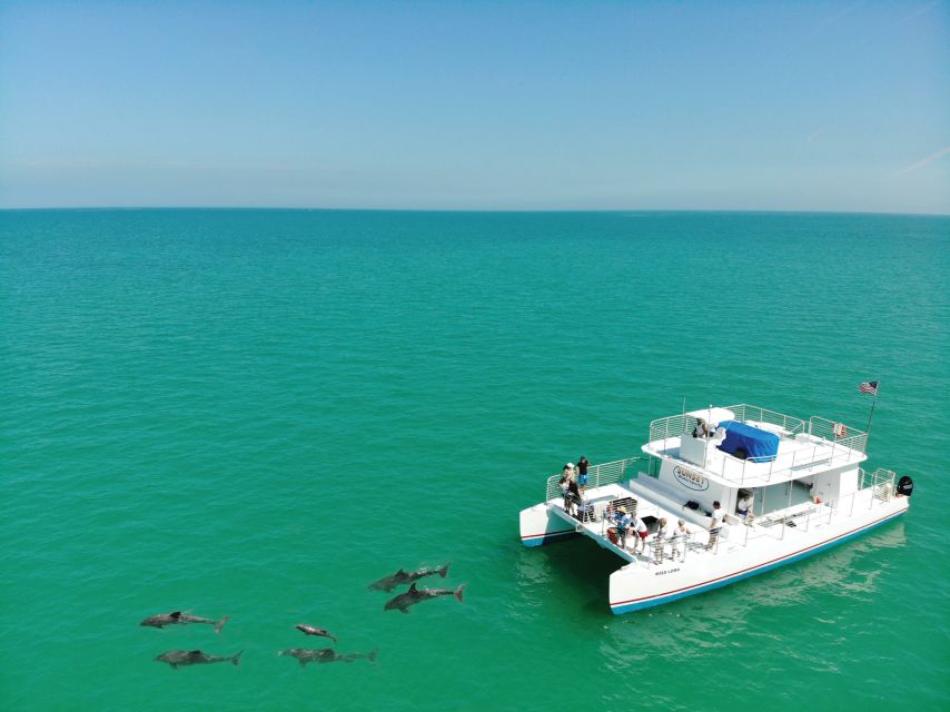 Key West: Dolphin Watching and Snorkeling Sunset Cruise - Key Points