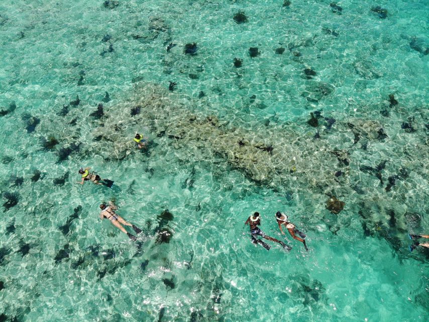 Key West: Dolphin Watching and Snorkeling Sunset Cruise - Dolphin Watching Experience